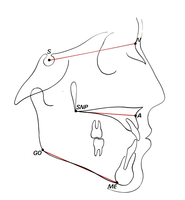 Dimensioni Sagittali